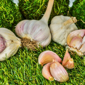 Garlic Criolle (200 grs)