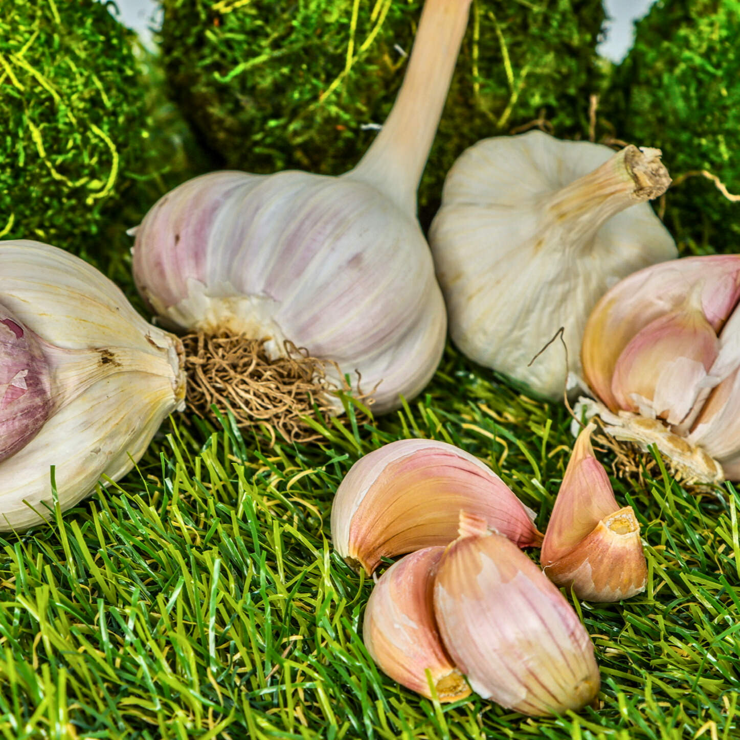 Garlic Criolle (200 grs)