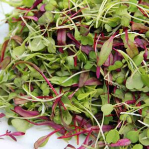 micro-greens-2-pack