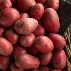 red-potato-kg
