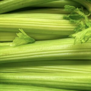 Celery Kg