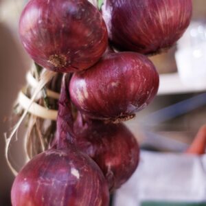Red Onion Kg