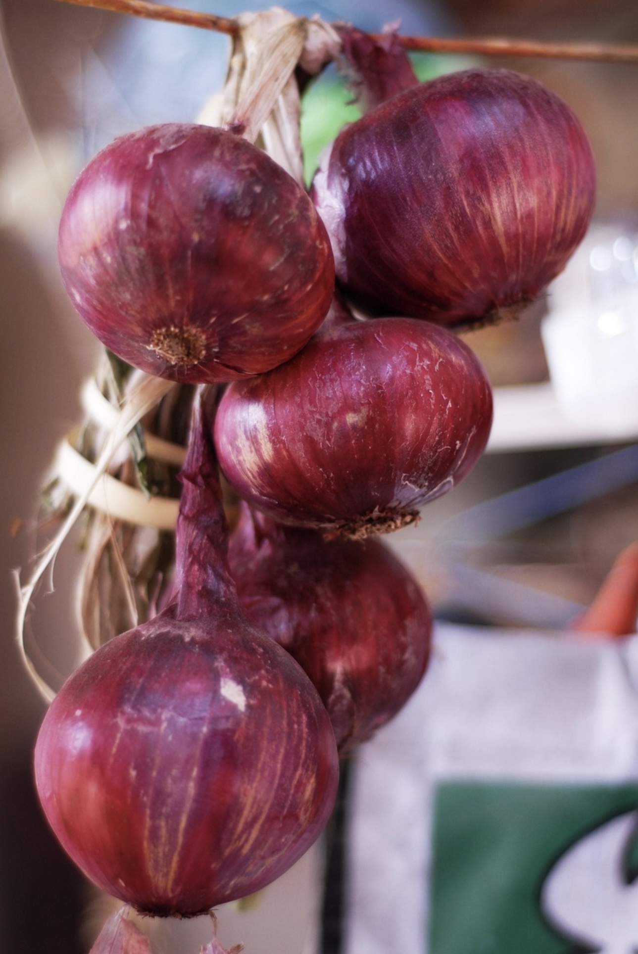 Red Onion Kg