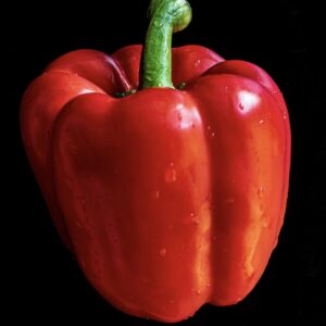 Color Sweet Pepper