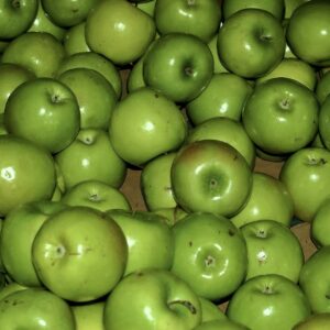 Green Apple 6 Pack