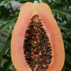Papaya Kg