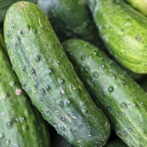 Cucumber Kg