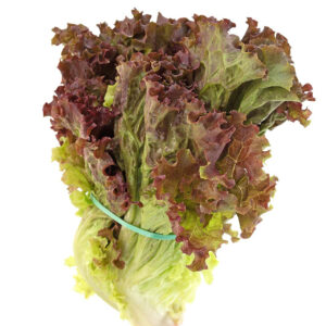 Red Lettuce Unit