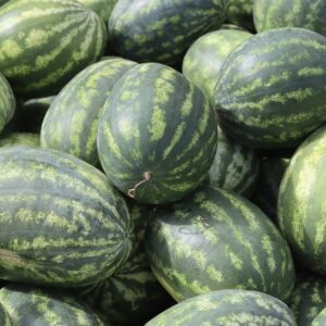 Watermelon Kg (average weight 4,5kg)