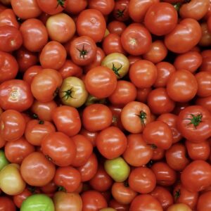 Tomato Kg